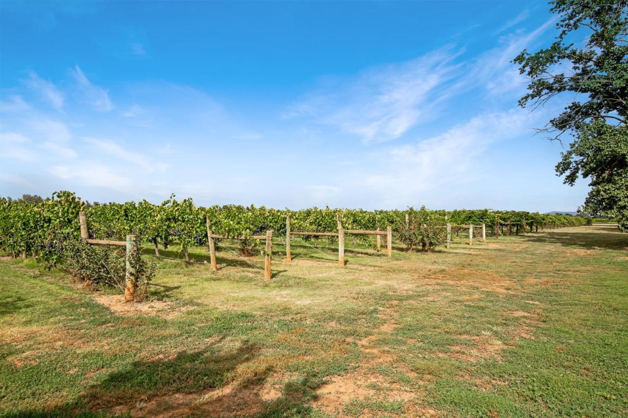 Milawa Vineyard Views - Guesthouse 1 Exterior photo